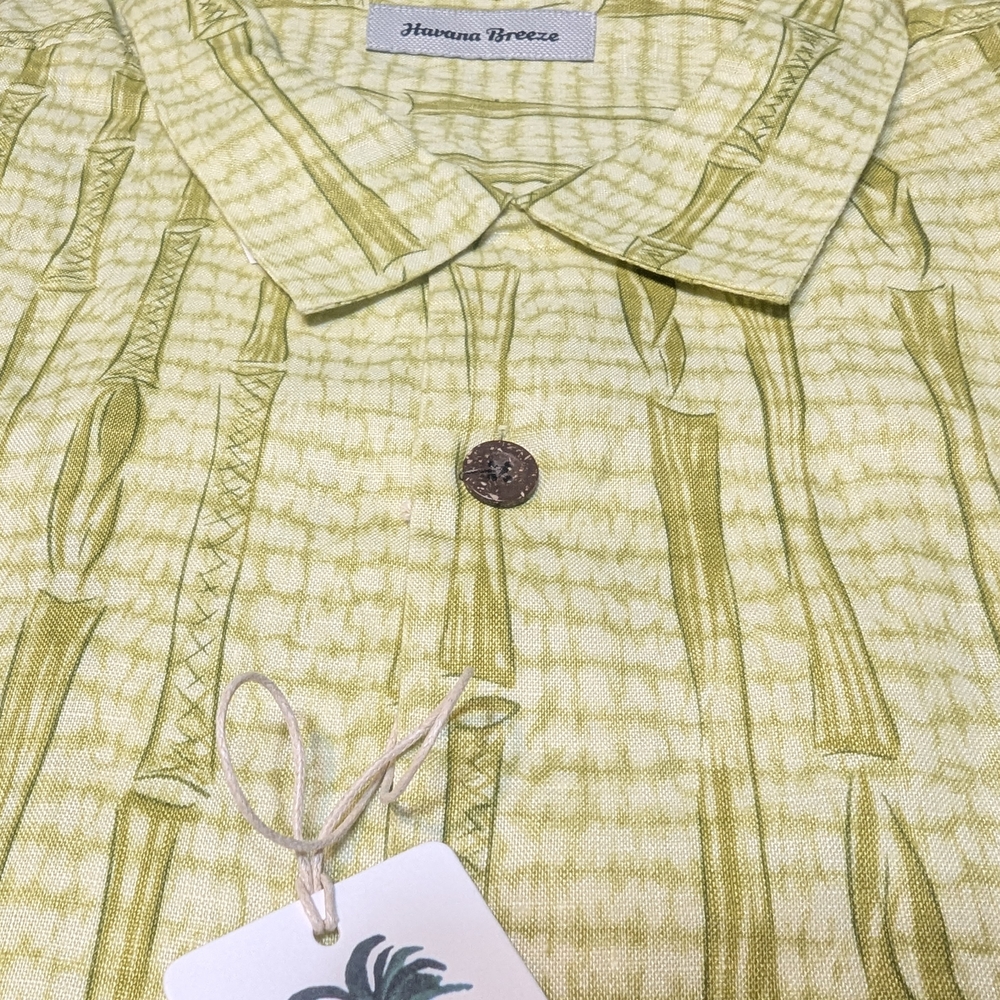 Men's Light Green Casual Button Down Shirt